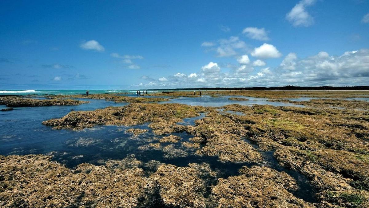 Abaetetuba Pousada São Miguel dos Milagres Exterior foto