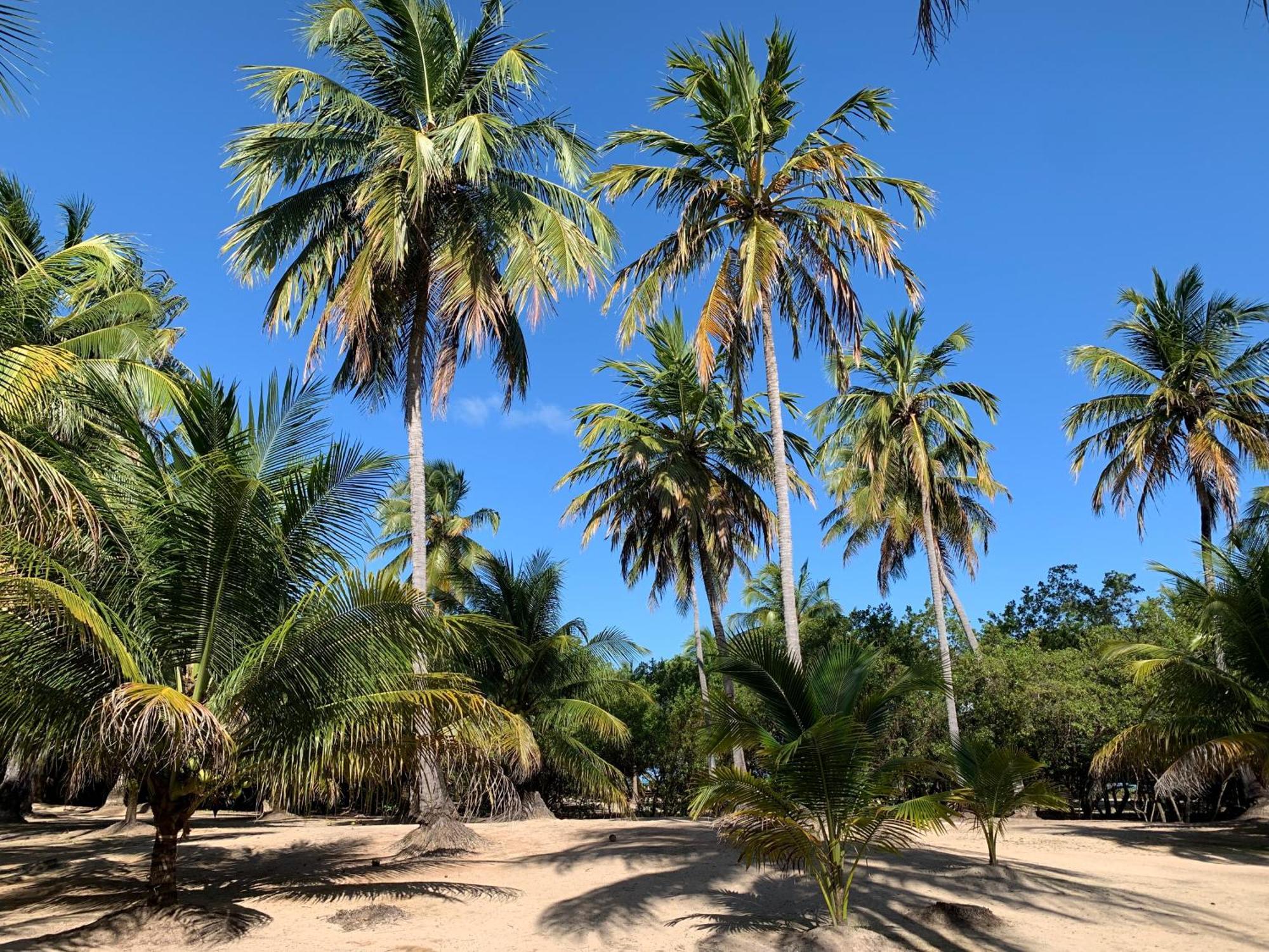 Abaetetuba Pousada São Miguel dos Milagres Exterior foto